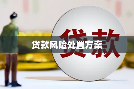 措勤贷款风险处置方案