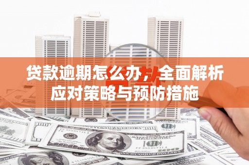 措勤贷款逾期怎么办，全面解析应对策略与预防措施