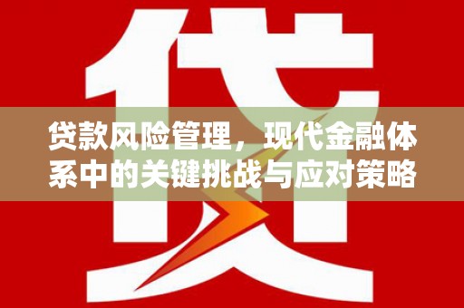 措勤贷款风险管理，现代金融体系中的关键挑战与应对策略