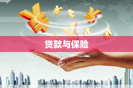 措勤贷款与保险