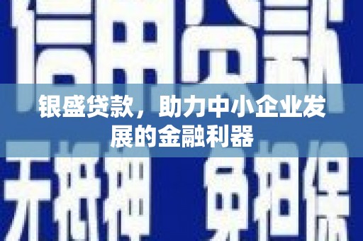 措勤银盛贷款，助力中小企业发展的金融利器