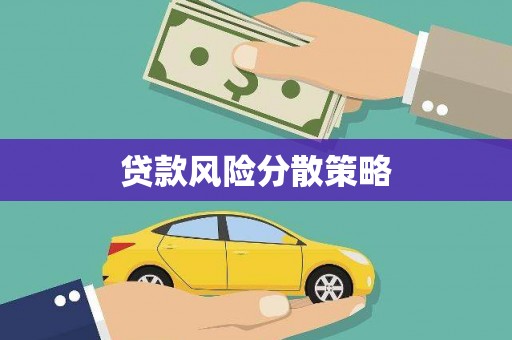 措勤贷款风险分散策略