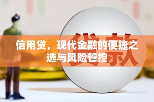 措勤信用贷，现代金融的便捷之选与风险管控
