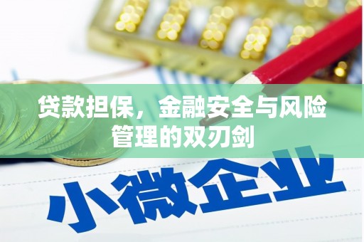 措勤贷款担保，金融安全与风险管理的双刃剑