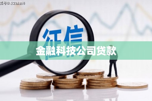 措勤金融科技公司贷款