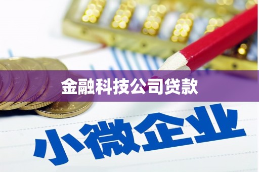 措勤金融科技公司贷款