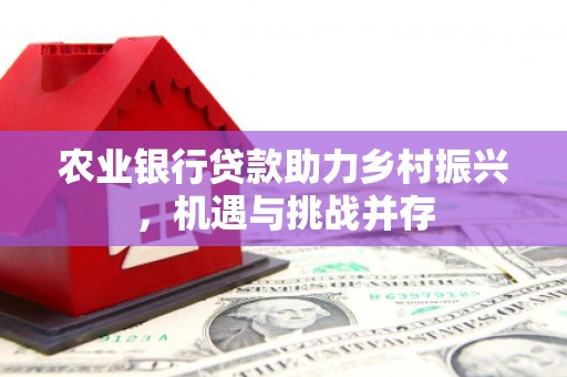 措勤农业银行贷款助力乡村振兴，机遇与挑战并存