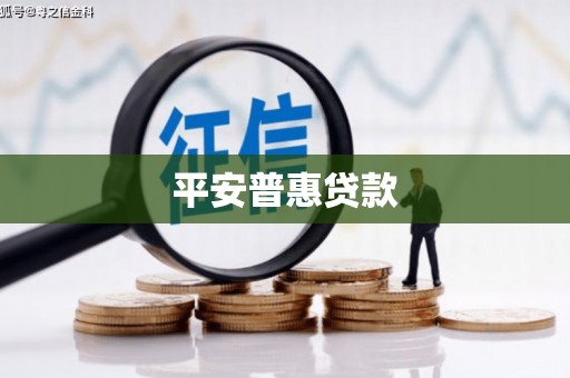 措勤平安普惠贷款