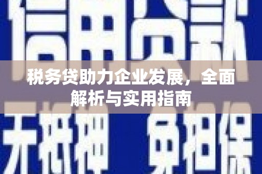 措勤税务贷助力企业发展，全面解析与实用指南