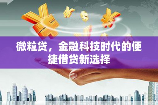 措勤微粒贷，金融科技时代的便捷借贷新选择