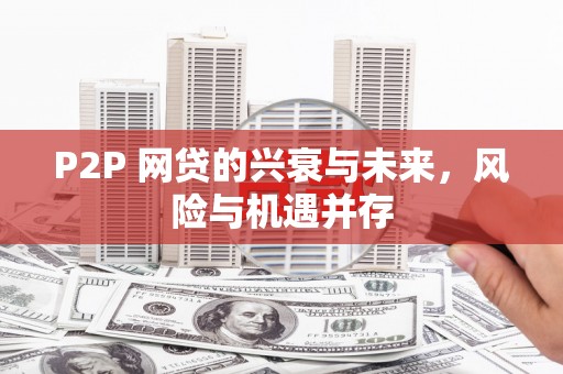措勤P2P 网贷的兴衰与未来，风险与机遇并存