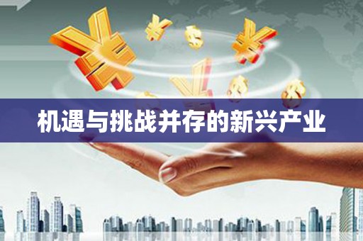 措勤机遇与挑战并存的新兴产业