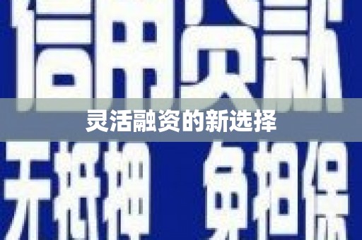 措勤灵活融资的新选择