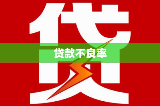 措勤贷款不良率
