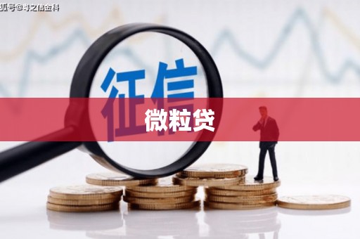 措勤微粒贷