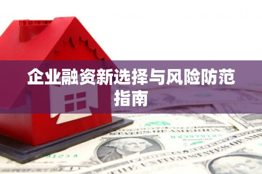 措勤企业融资新选择与风险防范指南