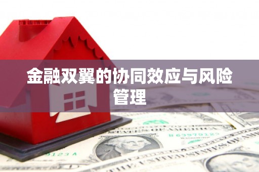 措勤金融双翼的协同效应与风险管理