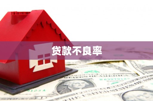 措勤贷款不良率